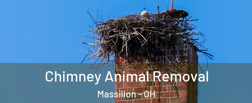  Chimney Animal Removal Massillon - OH