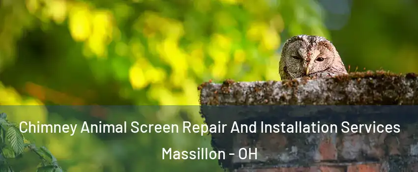  Chimney Animal Screen Repair And Installation Services Massillon - OH