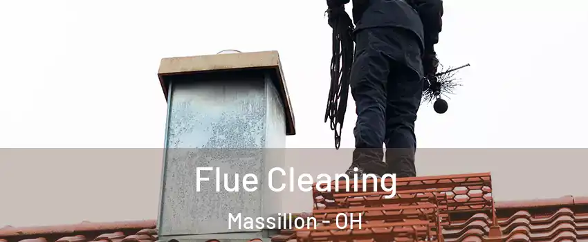  Flue Cleaning Massillon - OH