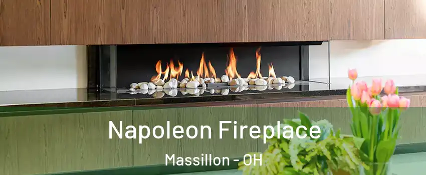  Napoleon Fireplace Massillon - OH